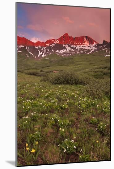 Clearing Storm, Belleview Mt. From The Lush Fravert Basin Along 4 Pass Loop Near Aspen, Colorado-Austin Cronnelly-Mounted Photographic Print