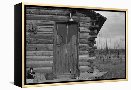 Clearing the Forest-Dorothea Lange-Framed Stretched Canvas