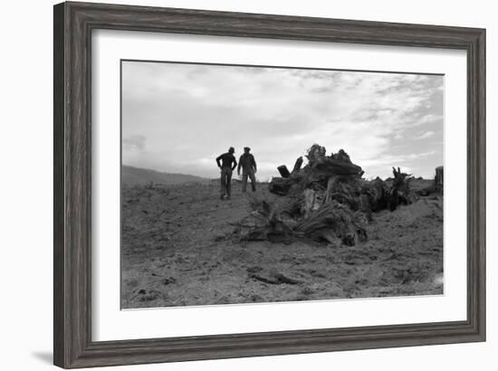 Clearing the Forest-Dorothea Lange-Framed Art Print