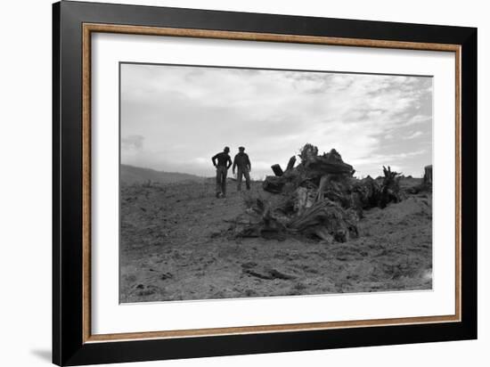 Clearing the Forest-Dorothea Lange-Framed Art Print