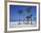 Clearwater Beach, Florida, United States of America, North America-Fraser Hall-Framed Photographic Print