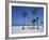 Clearwater Beach, Florida, United States of America, North America-Fraser Hall-Framed Photographic Print