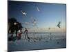 Clearwater Beach, Florida, USA-John Coletti-Mounted Photographic Print