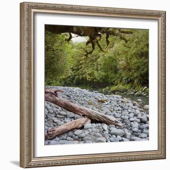 Cleddau River, Trunk, Fiordland National Park, Southland, South Island, New Zealand-Rainer Mirau-Framed Photographic Print