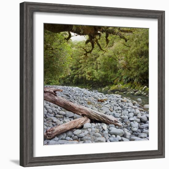 Cleddau River, Trunk, Fiordland National Park, Southland, South Island, New Zealand-Rainer Mirau-Framed Photographic Print