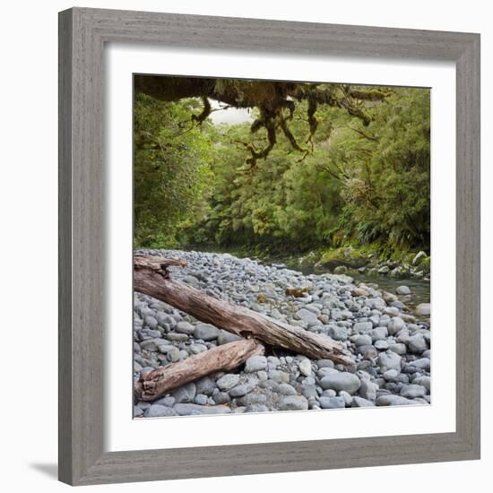 Cleddau River, Trunk, Fiordland National Park, Southland, South Island, New Zealand-Rainer Mirau-Framed Photographic Print