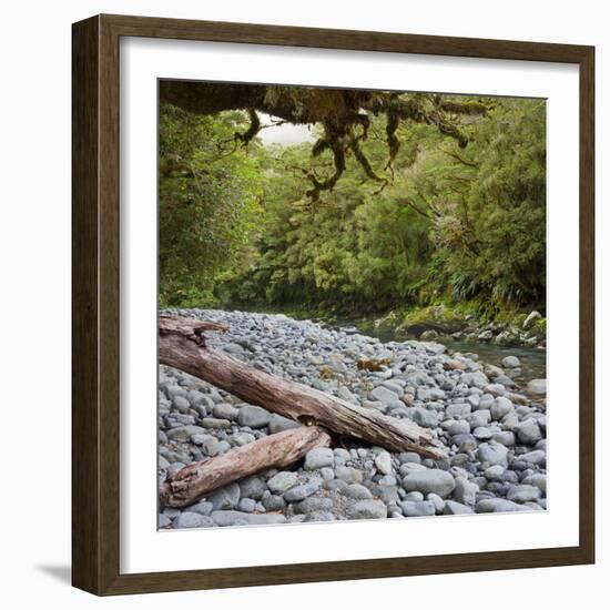 Cleddau River, Trunk, Fiordland National Park, Southland, South Island, New Zealand-Rainer Mirau-Framed Photographic Print