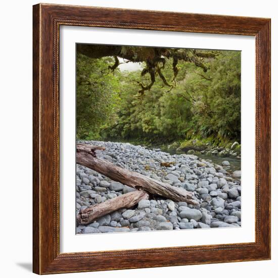 Cleddau River, Trunk, Fiordland National Park, Southland, South Island, New Zealand-Rainer Mirau-Framed Photographic Print