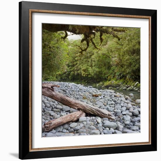 Cleddau River, Trunk, Fiordland National Park, Southland, South Island, New Zealand-Rainer Mirau-Framed Photographic Print