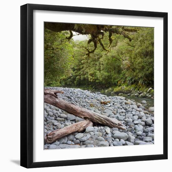 Cleddau River, Trunk, Fiordland National Park, Southland, South Island, New Zealand-Rainer Mirau-Framed Photographic Print