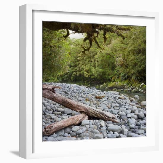 Cleddau River, Trunk, Fiordland National Park, Southland, South Island, New Zealand-Rainer Mirau-Framed Photographic Print