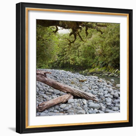 Cleddau River, Trunk, Fiordland National Park, Southland, South Island, New Zealand-Rainer Mirau-Framed Photographic Print