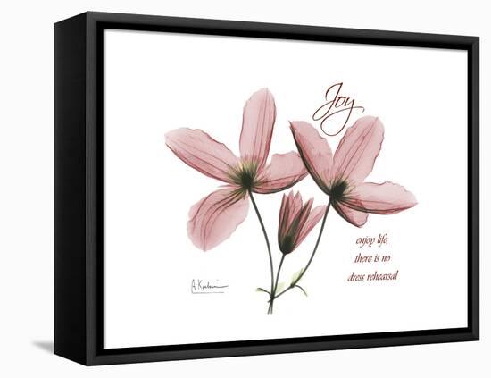 Clemantis Joy-Albert Koetsier-Framed Stretched Canvas