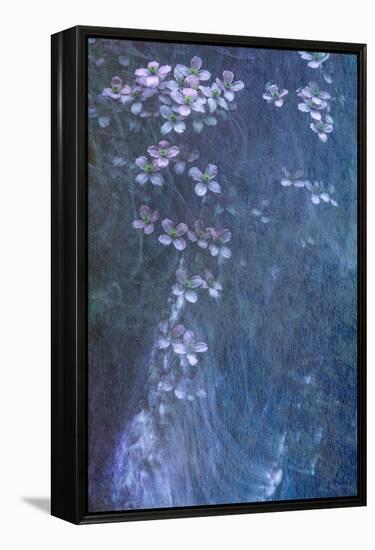 Clematis Cascade-Doug Chinnery-Framed Premier Image Canvas