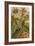 Clematis, Cicada and Beetles, 1894-Science Source-Framed Giclee Print