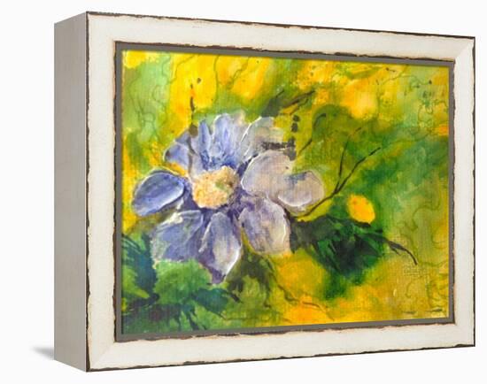 Clematis In The Evening Sun-Mary Smith-Framed Premier Image Canvas