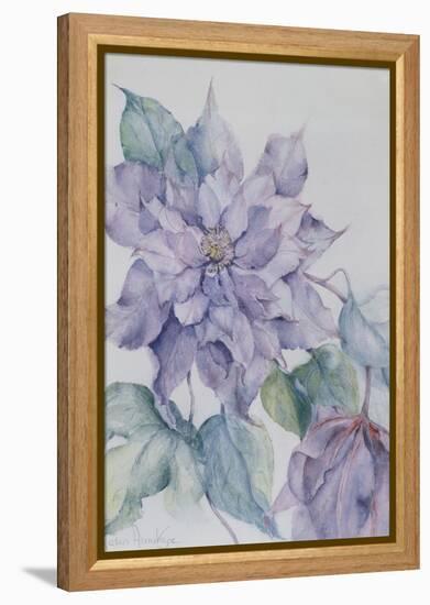 Clematis, Lord Neville-Karen Armitage-Framed Premier Image Canvas