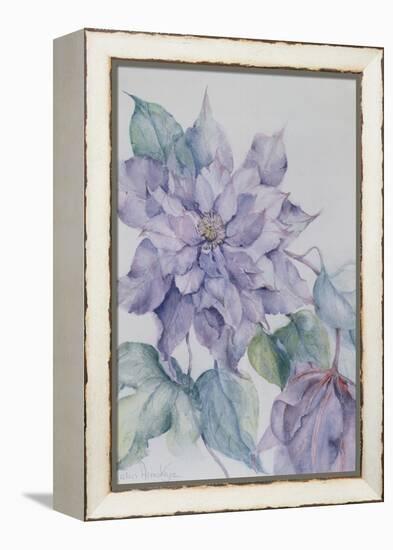 Clematis, Lord Neville-Karen Armitage-Framed Premier Image Canvas