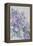 Clematis, Lord Neville-Karen Armitage-Framed Premier Image Canvas