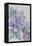 Clematis, Lord Neville-Karen Armitage-Framed Premier Image Canvas