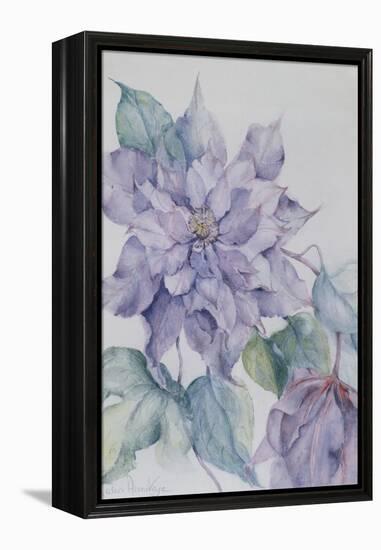 Clematis, Lord Neville-Karen Armitage-Framed Premier Image Canvas