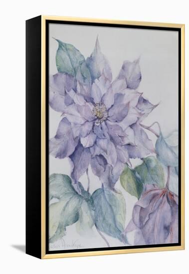 Clematis, Lord Neville-Karen Armitage-Framed Premier Image Canvas