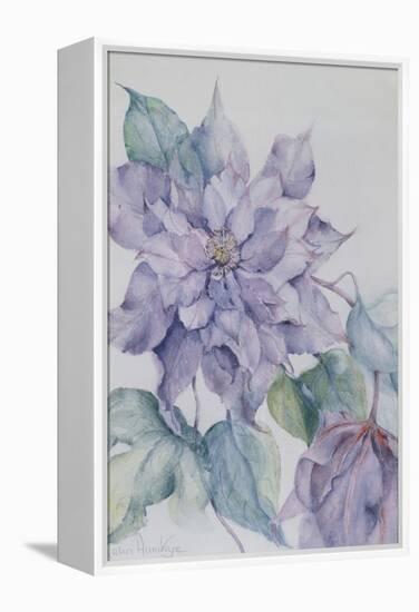 Clematis, Lord Neville-Karen Armitage-Framed Premier Image Canvas