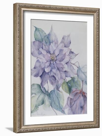 Clematis, Lord Neville-Karen Armitage-Framed Giclee Print