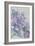 Clematis, Lord Neville-Karen Armitage-Framed Giclee Print