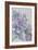 Clematis, Lord Neville-Karen Armitage-Framed Giclee Print