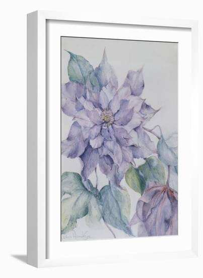 Clematis, Lord Neville-Karen Armitage-Framed Giclee Print