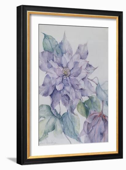 Clematis, Lord Neville-Karen Armitage-Framed Giclee Print