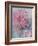 Clematis Vyvyan Penell-Karen Armitage-Framed Giclee Print