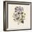 Clematis-19th Century English School -Framed Giclee Print