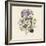 Clematis-19th Century English School -Framed Giclee Print