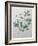 Clematis-Pierre-Joseph Redoute-Framed Art Print