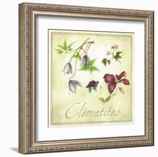 Clématites-Vincent Perriol-Framed Art Print