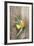 Clementine with Leaves on Wood-Nikky-Framed Photographic Print