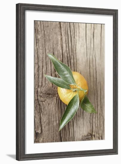 Clementine with Leaves on Wood-Nikky-Framed Photographic Print