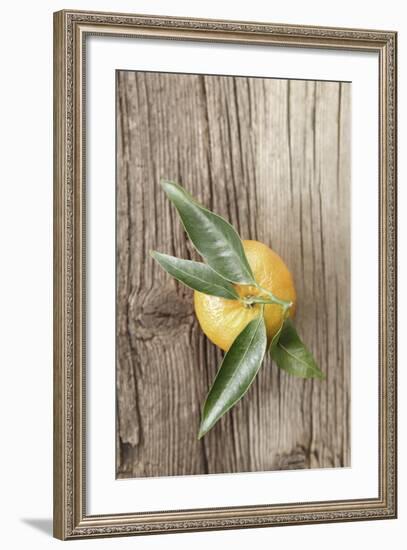 Clementine with Leaves on Wood-Nikky-Framed Photographic Print