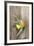 Clementine with Leaves on Wood-Nikky-Framed Photographic Print