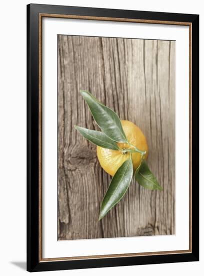 Clementine with Leaves on Wood-Nikky-Framed Photographic Print