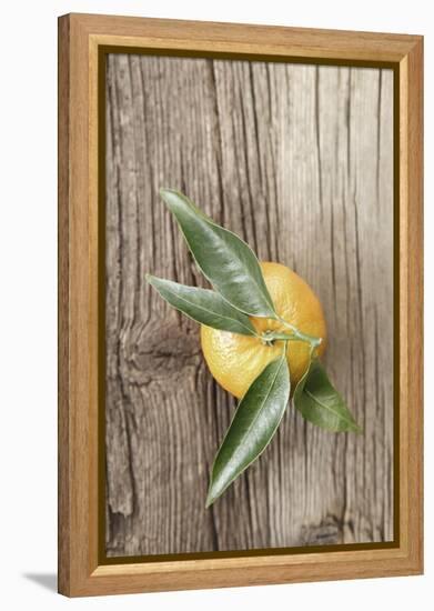 Clementine with Leaves on Wood-Nikky-Framed Premier Image Canvas