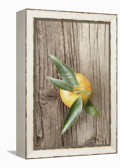 Clementine with Leaves on Wood-Nikky-Framed Premier Image Canvas