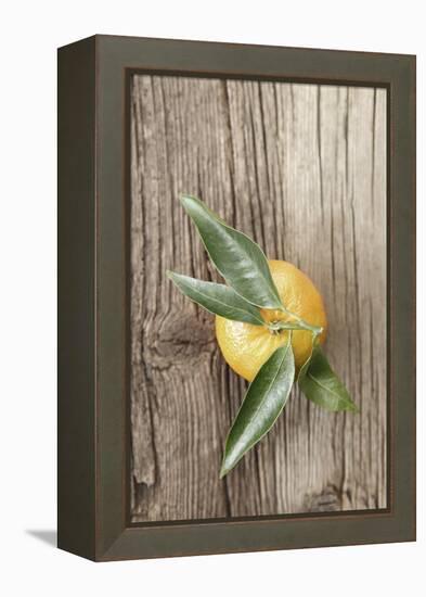 Clementine with Leaves on Wood-Nikky-Framed Premier Image Canvas