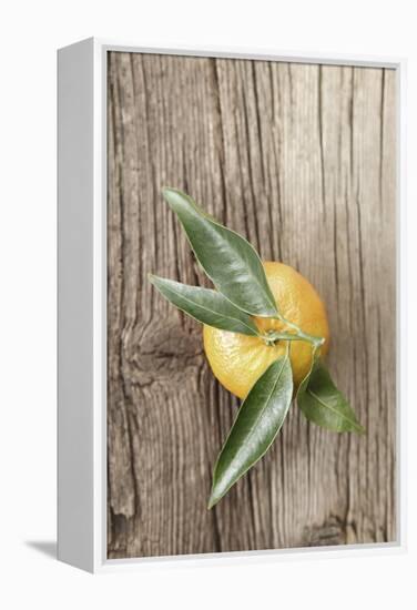 Clementine with Leaves on Wood-Nikky-Framed Premier Image Canvas