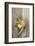 Clementine with Leaves on Wood-Nikky-Framed Photographic Print