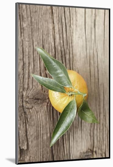 Clementine with Leaves on Wood-Nikky-Mounted Photographic Print