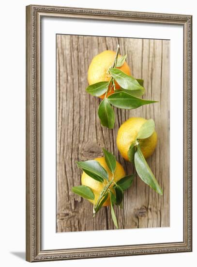 Clementinen, Leaves-Nikky-Framed Photographic Print