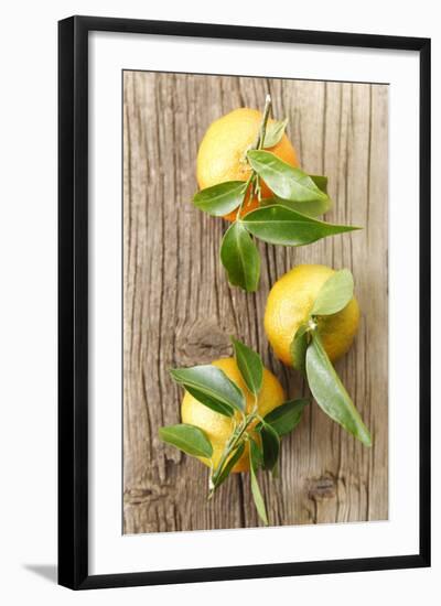 Clementinen, Leaves-Nikky-Framed Photographic Print